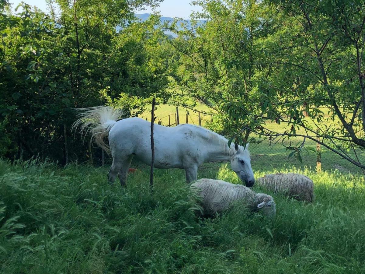 Ala Di Maniero In Agriturismo Valdrago In Toscana, Nel Verde Mugello Sulle Colline Di Firenze Borgo San Lorenzo Exterior foto